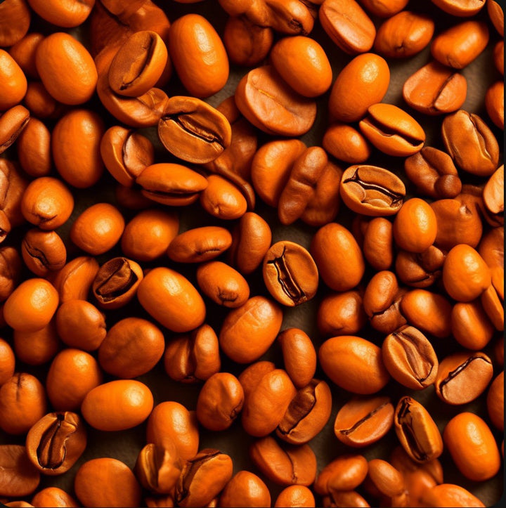 TeamNL Blend Oranje Koffiebonen - Halfautomaat