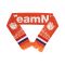 Fansjaal TeamNL